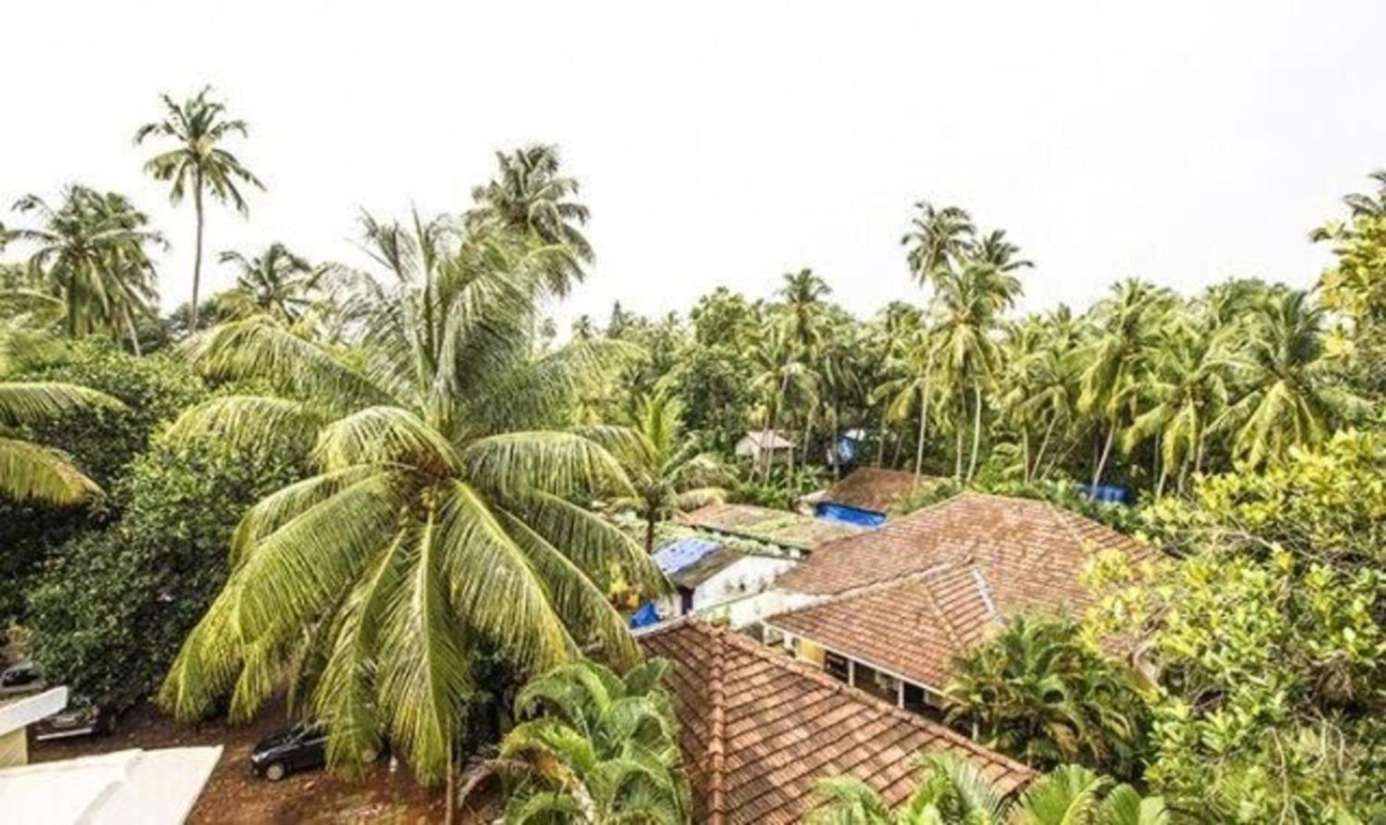 Fabexpress Orchid The Sky Otel Calangute Dış mekan fotoğraf